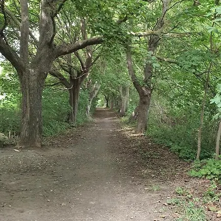 Haus Am Bitte Sehr ! Klausdorf (Vorpommern-Rugen)