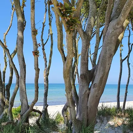 Haus Am Bitte Sehr ! * Klausdorf (Vorpommern-Rugen)